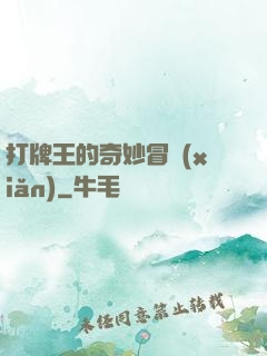 打牌王的奇妙冒險(xiǎn)