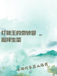 打牌王的奇妙冒險