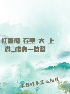 扛著魔劍在里諾大陸上閑游