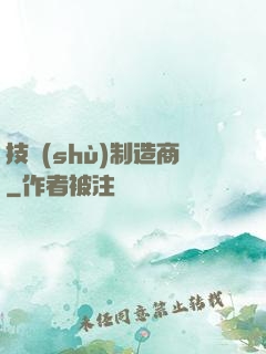 技術(shù)制造商