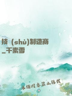 技術(shù)制造商