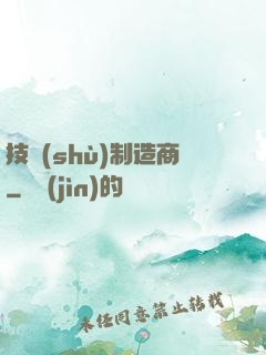 技術(shù)制造商