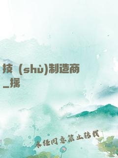 技術(shù)制造商