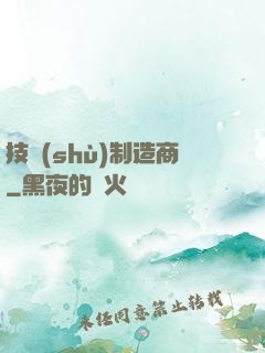 技術(shù)制造商