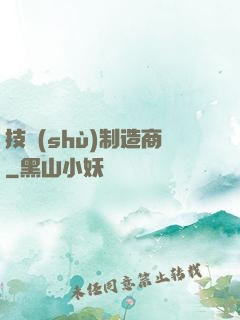 技術(shù)制造商