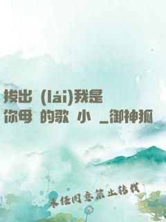 拔出來(lái)我是你母親的歌詞小說
