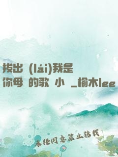 拔出來(lái)我是你母親的歌詞小說