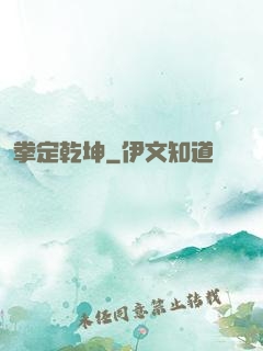 拳定乾坤