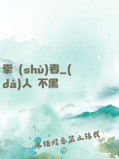 拳術(shù)者
