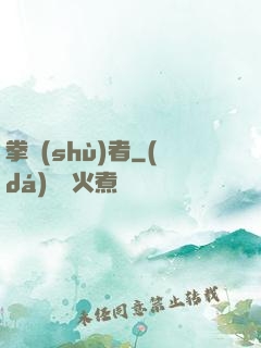 拳術(shù)者