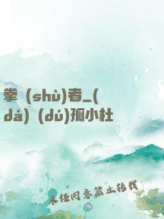 拳術(shù)者