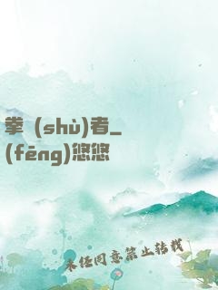 拳術(shù)者