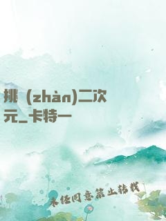 挑戰(zhàn)二次元