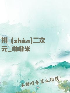 挑戰(zhàn)二次元