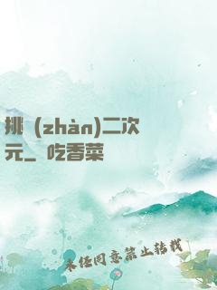 挑戰(zhàn)二次元