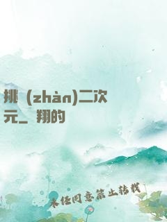 挑戰(zhàn)二次元