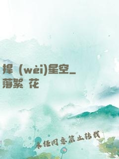 捍衛(wèi)星空