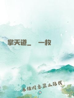 掌天道