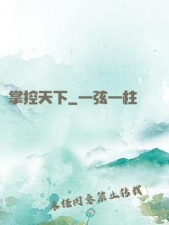 掌控天下