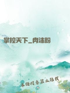 掌控天下