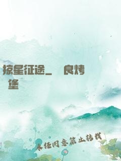 掠星征途
