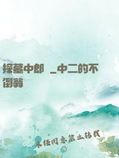 探墓中郎將