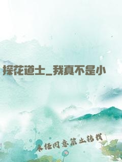 探花道士