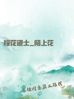 探花道士