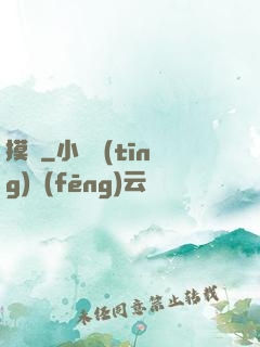 摸寶