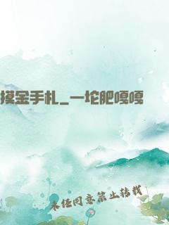 摸金手札