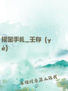 摸金手札