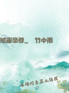 撼宙帝尊