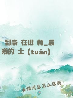 撿到豪門在逃總裁