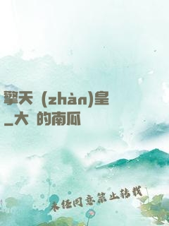 擎天戰(zhàn)皇