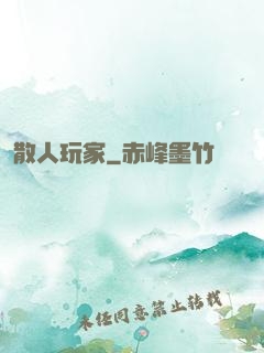 散人玩家