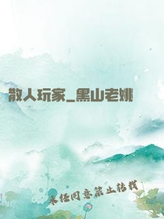 散人玩家