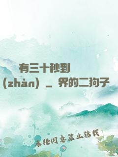敵軍還有三十秒到達戰(zhàn)場