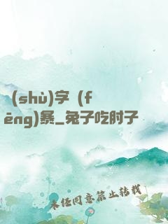 數(shù)字風(fēng)暴