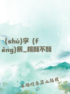數(shù)字風(fēng)暴