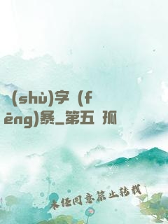 數(shù)字風(fēng)暴