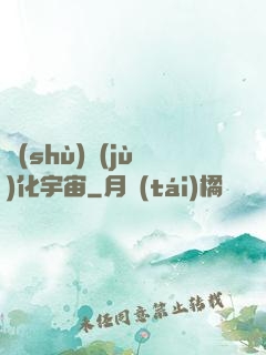 數(shù)據(jù)化宇宙