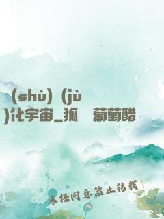 數(shù)據(jù)化宇宙