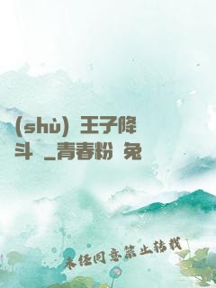 數(shù)碼王子降臨斗羅
