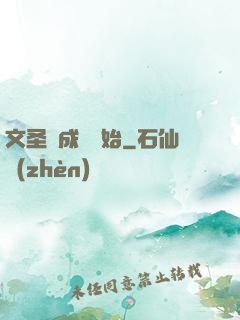 文圣從成語開始