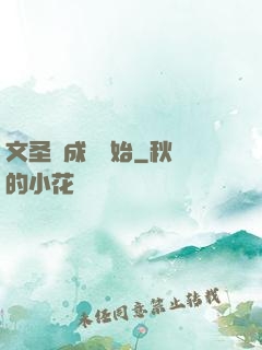 文圣從成語開始