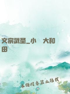 文宗武圣