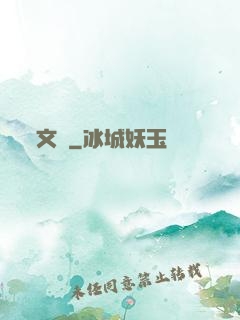 文賊