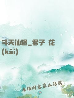斗天仙途