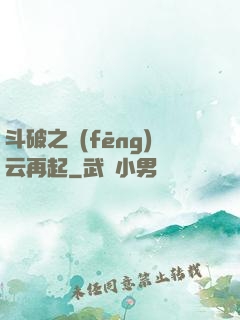 斗破之風(fēng)云再起