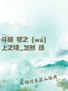 斗破蒼穹之無(wú)上之境